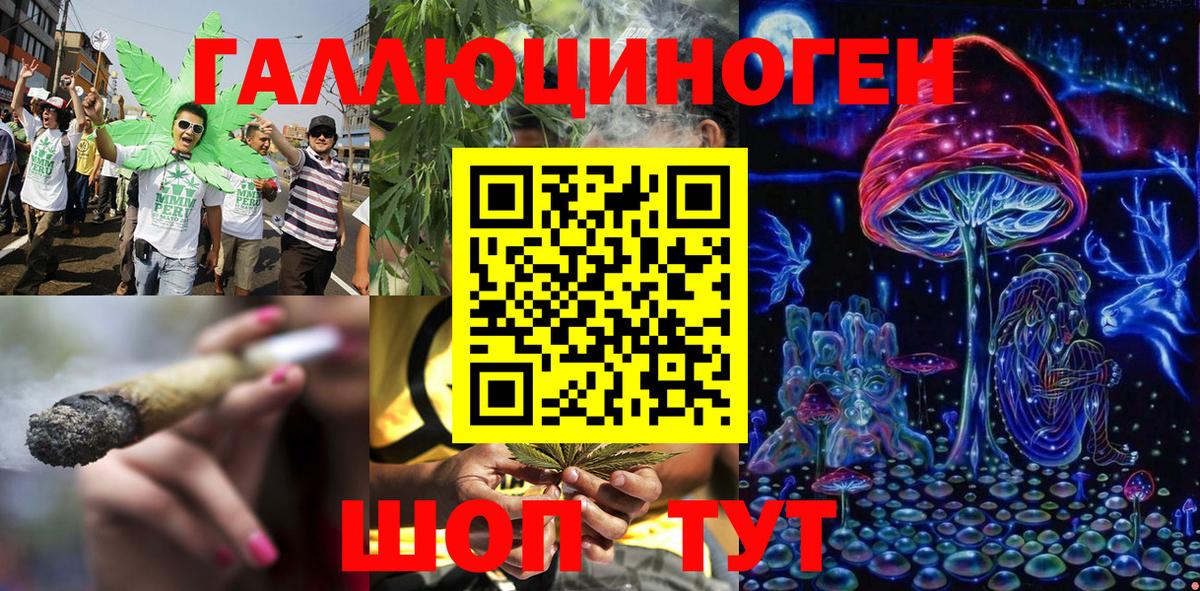 Псилоцибиновые грибы Psilocybe Лесной