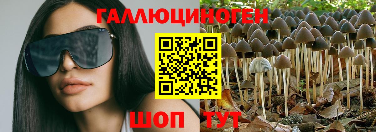 Псилоцибиновые грибы GOLDEN TEACHER  Галлюциногенные грибы GOLDEN TEACHER  Лесной  Вход с VPN 